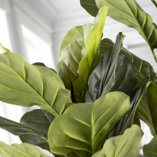Planta Artificial Higuera Violin
