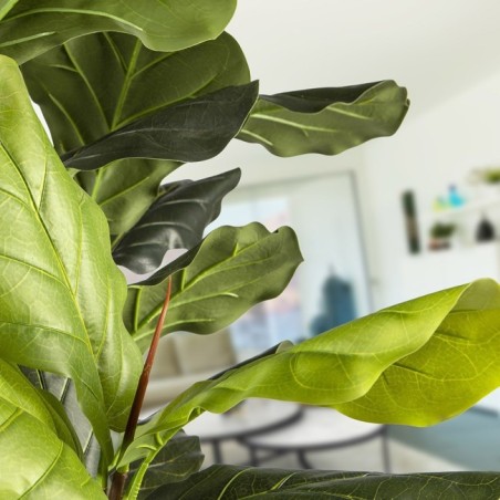 Planta Artificial Higuera Violin