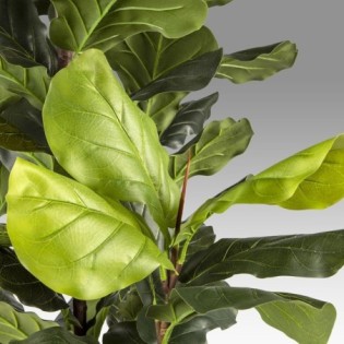 Planta Artificial Higuera Violin