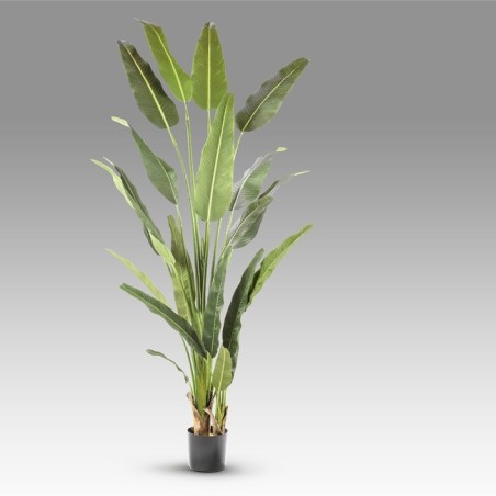 Planta Artificial Palma Viajero