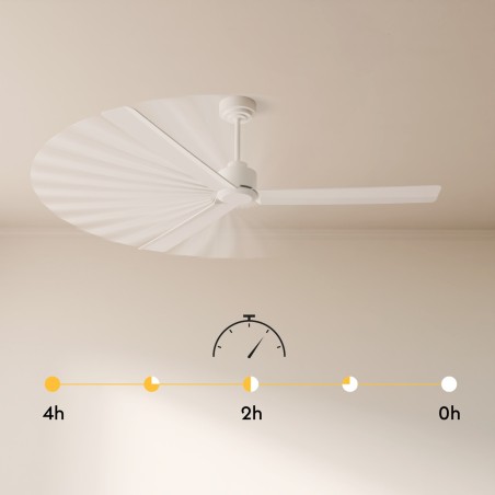Ventilador de techo de exterior Tomy