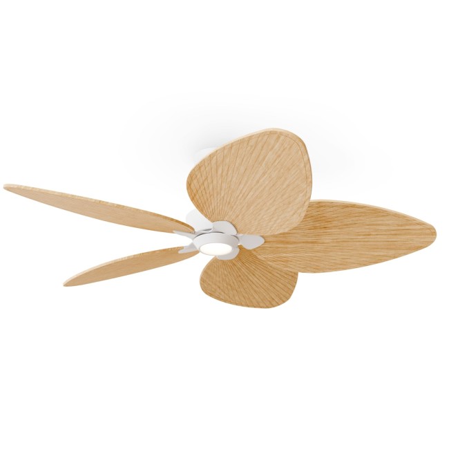 Ventilador de techo LED Alma L 5 Aspas CCT Dim (6.5W)