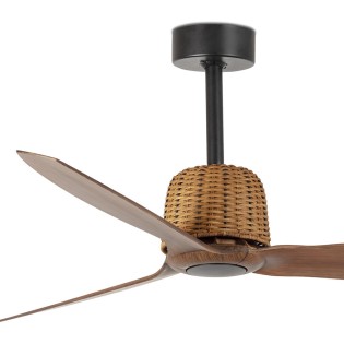 Ventilador de techo Weaver
