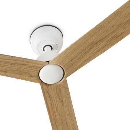 Ventilador de techo para exterior Marine