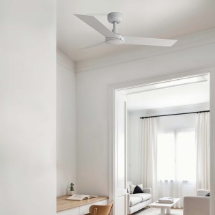 Ventilador de techo Cruiser S