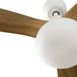 Ventilador de techo con luz Outwood L IP44