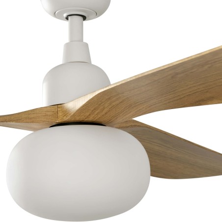 Ventilador de techo con luz Outwood L IP44