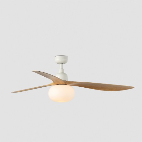 Ventilador de techo con luz Outwood L IP44