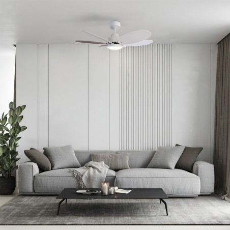 Ventilador de techo LED Rainbow M Blanco CCT Dim (18W)