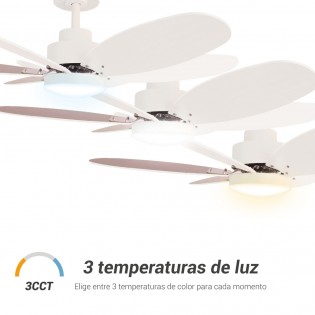 Ventilador de techo LED Rainbow M Blanco CCT Dim (18W)