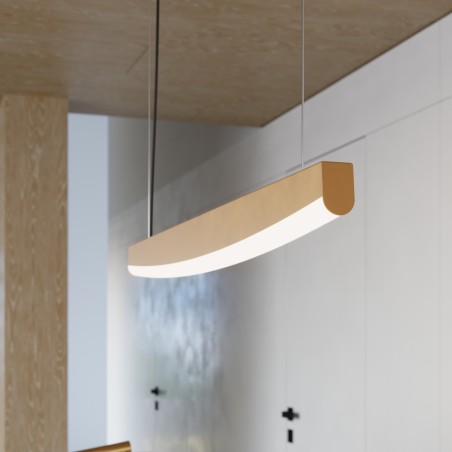 Lámpara de techo LED Jorun (22W)