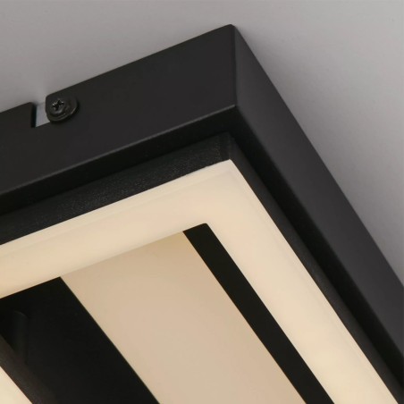 Plafón de techo LED Ovaloid (40W)