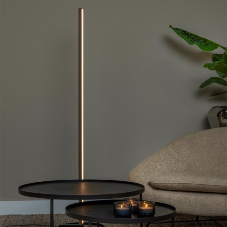 Lámpara de pie LED Braga CCT Dim (22W)