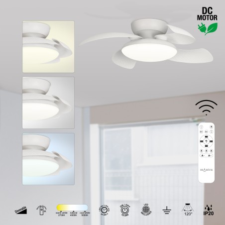 Ventilador LED con aspas desplegables Aloha CCT (45W)