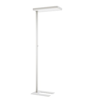 Lámpara de pie LED Marsala DIM (55+45W)
