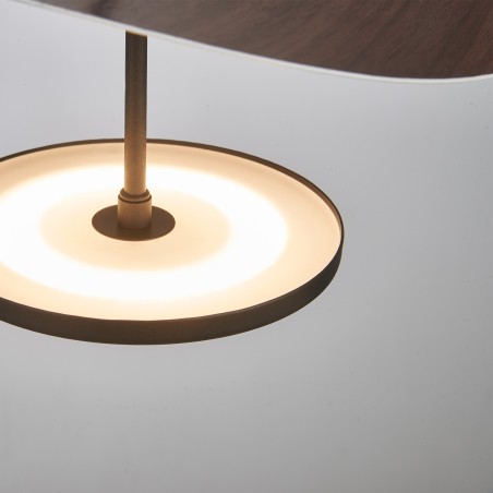 Lámpara de techo LED Abisal CCT Dim (12W)