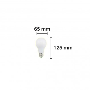 Bombilla LED Standard E27 Luz fría (15W)