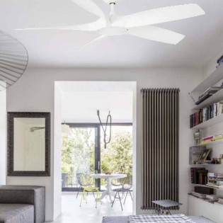 Ventilador Con luz Cocos (20W)