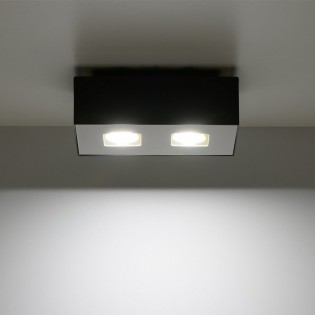 Plafón de techo Mono (2 luces)