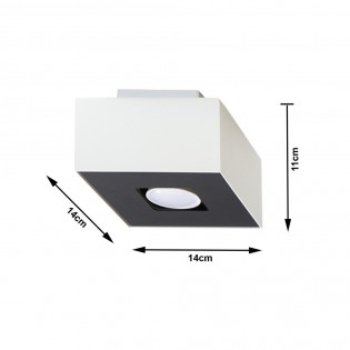 Plafón de techo Mono II (1 luz)