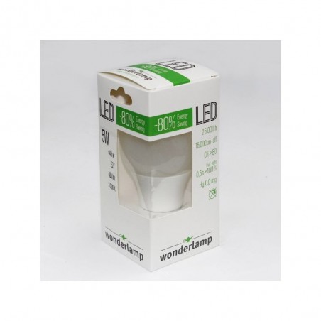 Pack 10 Bombillas LED Estandard E27 (5W - 4200K)