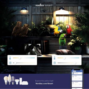 Bombilla LED E27 G95 Transparente Smart (4.7W)