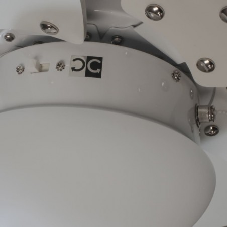 Ventilador de techo con luz Tauro