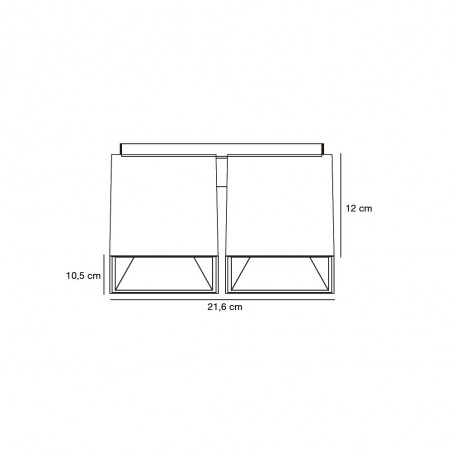 Plafón de techo Ethan (2 luces)