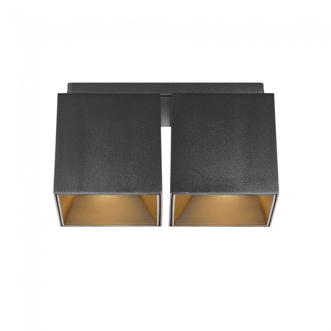 Plafón de techo Ethan (2 luces)