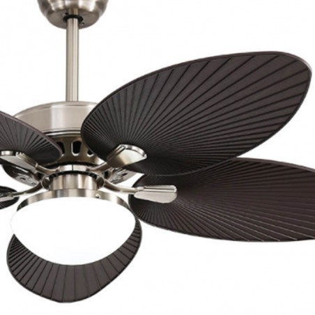 Lámpara de techo Led Borasco (24W)