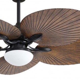 Ventilador de techo Led Chaw (24W)