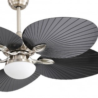 Ventilador de techo Led Chaw (24W)