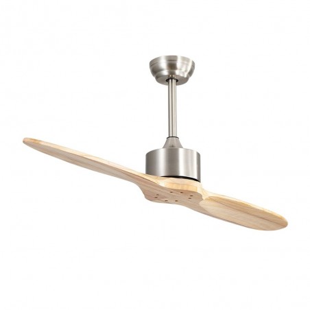 Ventilador de techo Leste