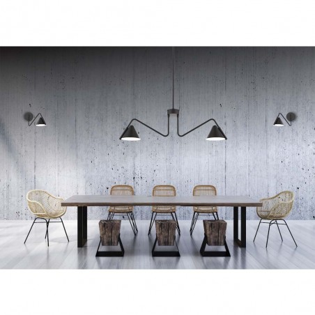 Lámpara de techo Porter (2 luces)