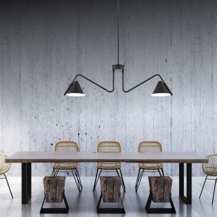 Lámpara de techo Porter (2 luces)