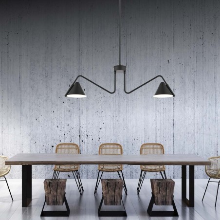 Lámpara de techo Porter (2 luces)