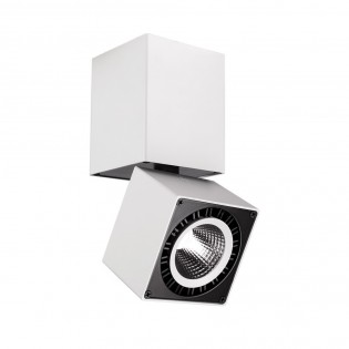 Foco LED orientable Columbretes (12W)