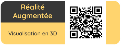 Réalité Augmentée - Visualisation 3D